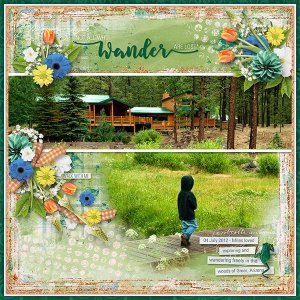 ahd_blended1-ahd_gardenparty_WANDER-600