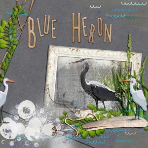 Blue Heron