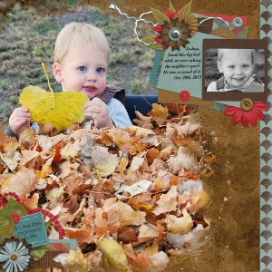 Joshua's Big Leaf