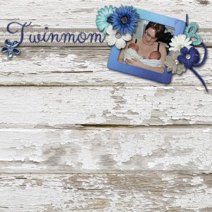 Twinmom