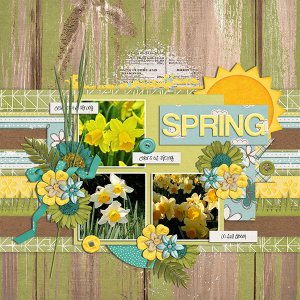 spring