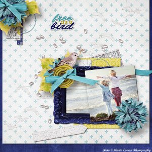 Dress the Template Challenge iNSD 2017