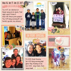 May Designer Spotlight Challenge