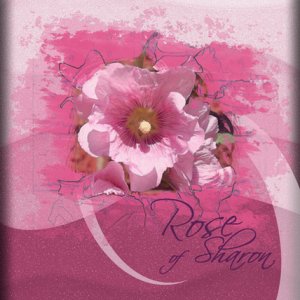 ATC 2017-75 Rose of Sharon