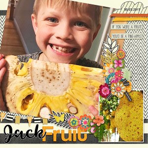 Jack Fruit