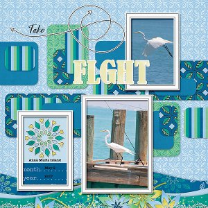 Take Flight