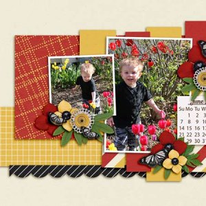 May-2017_Web