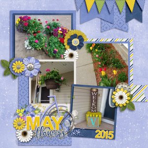 May Flowers