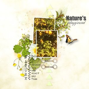Cheerful Nature