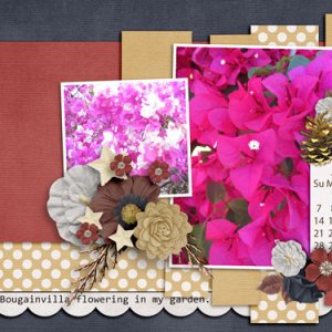 sandie03 desktop ch May2017