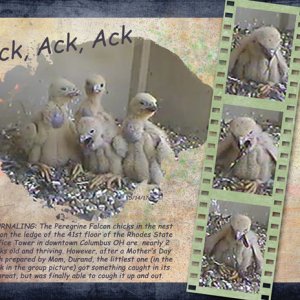 Ack, Ack, Ack