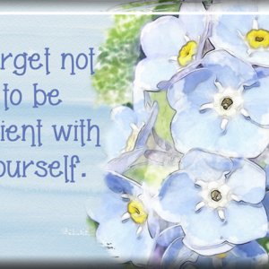 ATC 2017-78 Forget Not