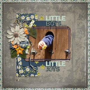 Little Boys... Little Joys
