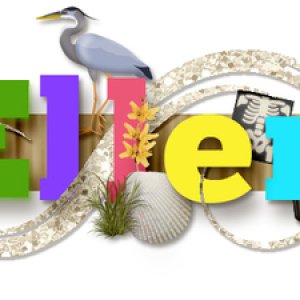 Siggie_Challenge_5