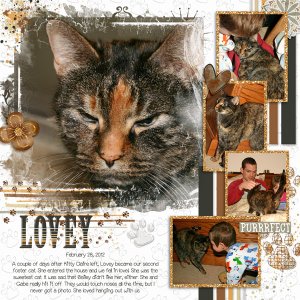 Lovey Cat