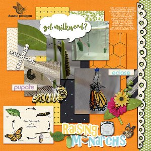 raising_monarchs