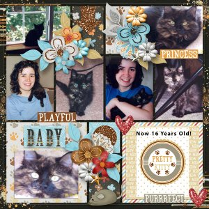 Precious-Album-Clustered-and-Kitty-Cat