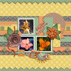 May Flowers