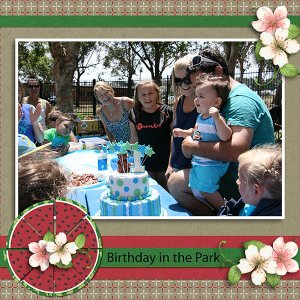 Birthday in the Park