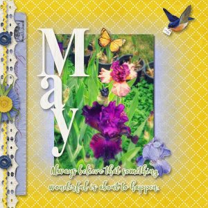 May Iris