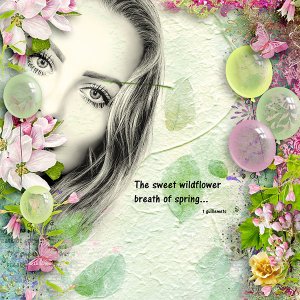 Wildflowers