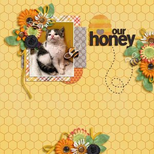 our honey