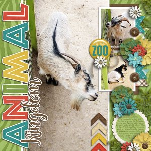 Petting Zoo