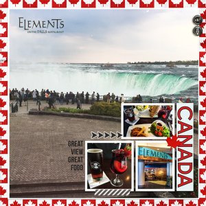 Elements on the Falls Dinner