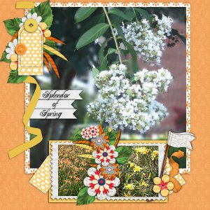 Splendor Of Spring