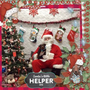 Santa paws