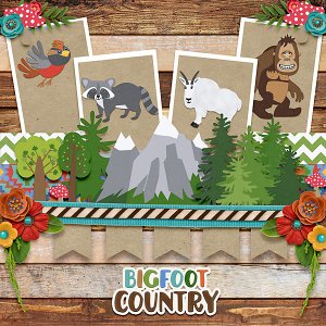 BigFootCountry