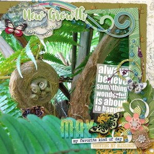 Rainforest