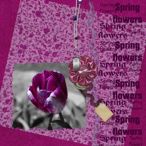 Pink Flower
