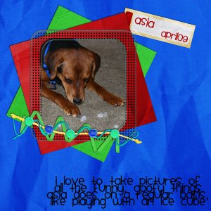 Goofy Asia