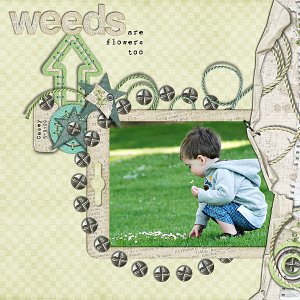 Weeds are Flowers Too