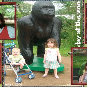 Day At The Zoo