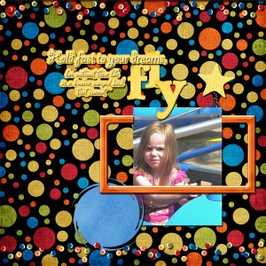 Fly