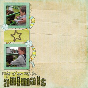 Animal