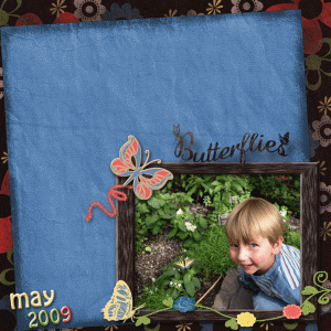 Butterflies