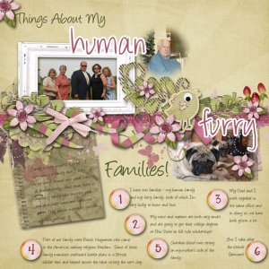 adsr 6.1 - families