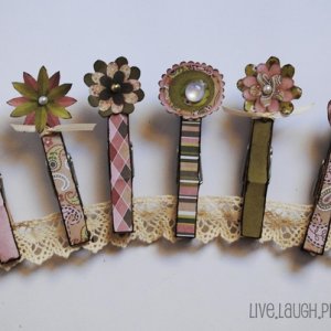 Hybrid Clothespin Magnets