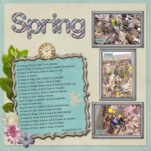 Spring Flowers