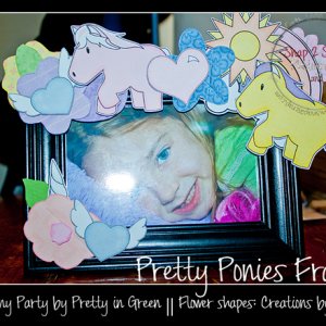 Pretty Ponies Frame