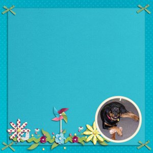 Funshine