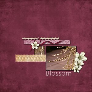 Blossom
