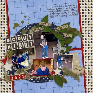 Scout Night