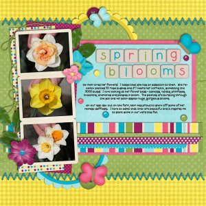 Spring Blooms