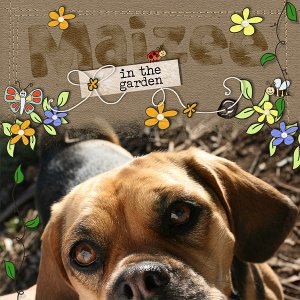 Maizee in the Garden