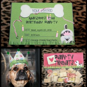 Maizee's Pawty