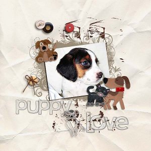 Puppy Love